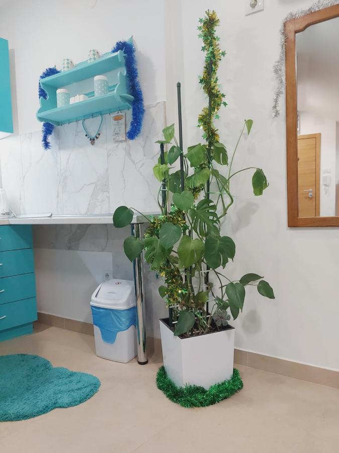 Apartman Santorini ノヴィ・サド エクステリア 写真